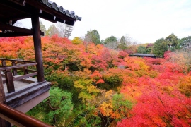 定番＆SNS映えを求めて。秋の京都、紅葉日帰り旅！