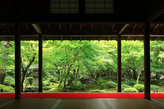圓光寺 イメージ