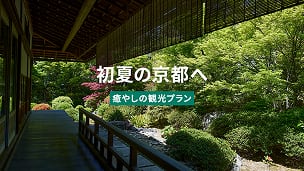 初夏の京都へ イメージ