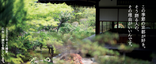 この季節の京都が好き。 そう語る人の、 その理由がいいんです。