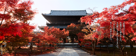 この秋、京都で美しい紅葉を堪能