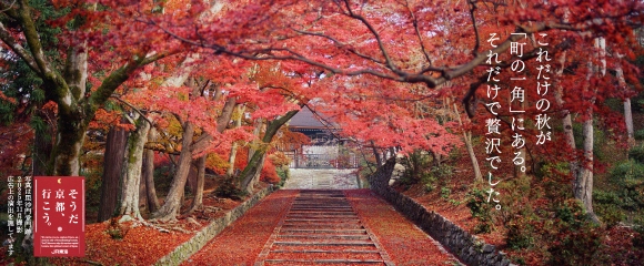 これだけの秋が「町の一角」にある。それだけで贅沢でした。