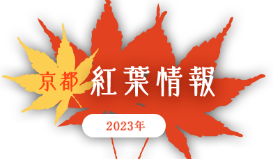 京都 紅葉情報