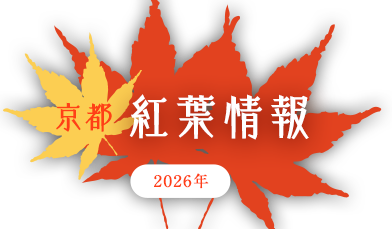 京都 紅葉情報