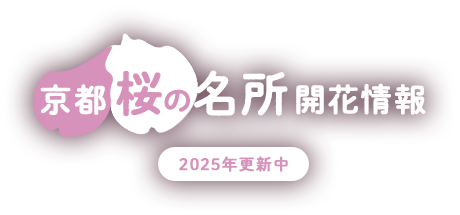 京都 桜の名所開花情報