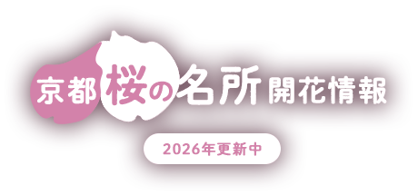 京都 桜の名所開花情報