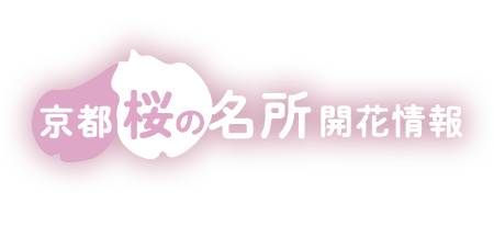 京都 桜の名所開花情報 そうだ 京都 行こう