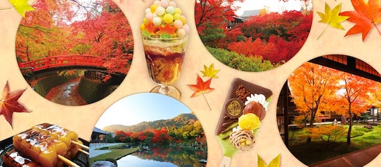 京都の紅葉名所＆スイーツチケット