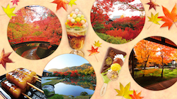 京都の紅葉名所＆スイーツチケット