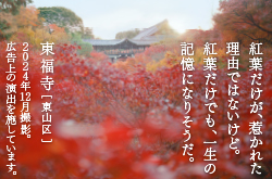 2025年秋CM舞台