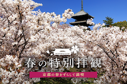 春の特別拝観