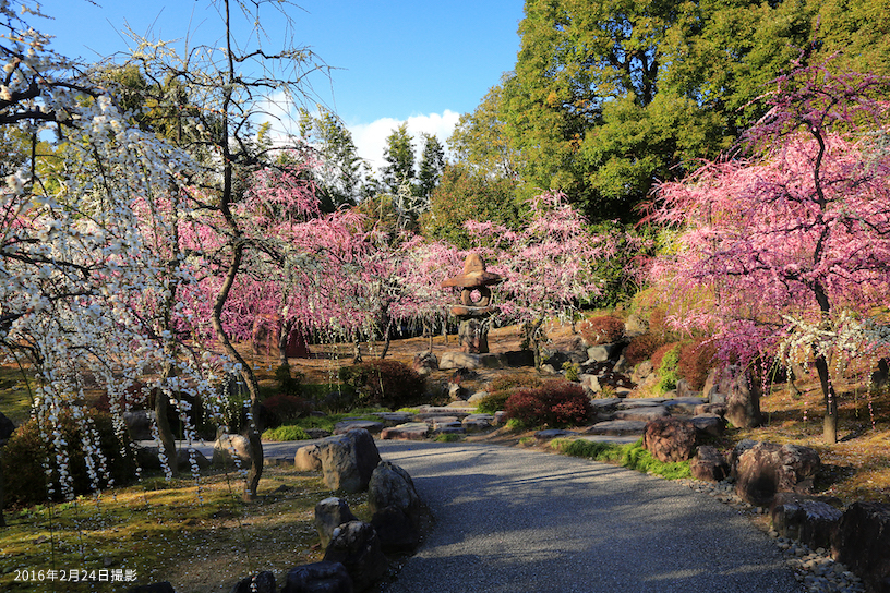 城南宮｜そうだ 京都、行こう。