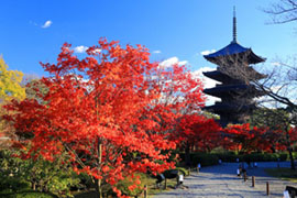 八幡山教王護国寺 東寺 京都っぽい！ | 東寺（教王護国寺）の見どころと歴史についての簡単まとめ 上下 アート・デザイン・音楽