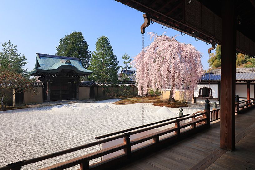 高台寺 そうだ 京都 行こう