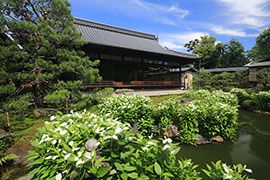 建仁寺 両足院｜そうだ 京都、行こう。