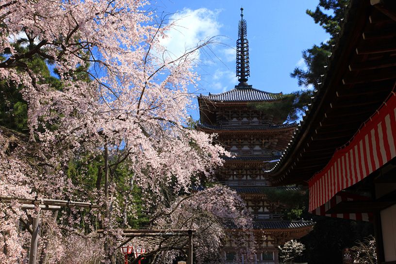 醍醐寺