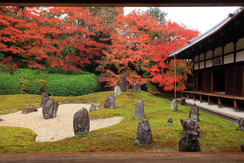 東福寺 光明院 そうだ 京都 行こう