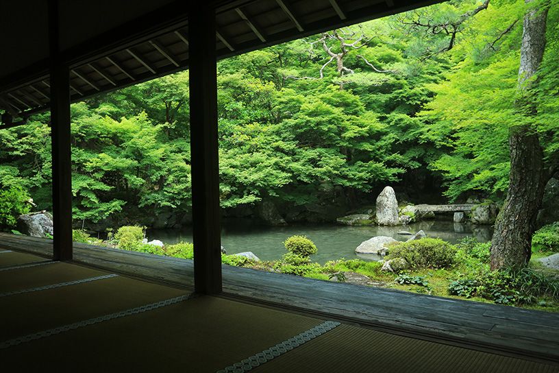 蓮華寺 そうだ 京都 行こう