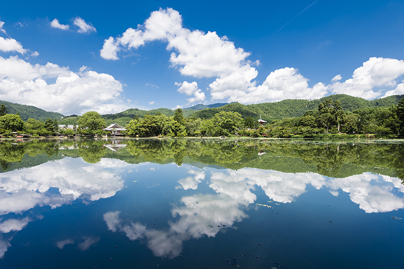 旧嵯峨御所 大本山 大覚寺｜そうだ 京都、行こう。