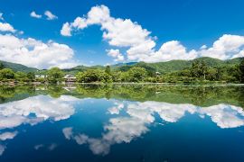 旧嵯峨御所 大本山 大覚寺｜そうだ 京都、行こう。