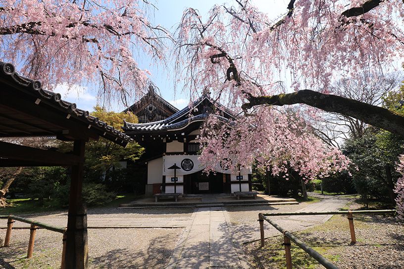 養源院