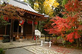 赤山禅院 そうだ 京都 行こう