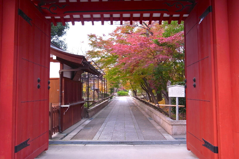 乙訓寺｜そうだ 京都、行こう。