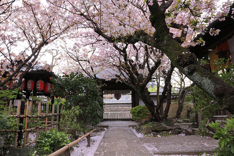 雨宝院
