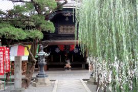 六角堂［頂法寺］｜そうだ 京都、行こう。