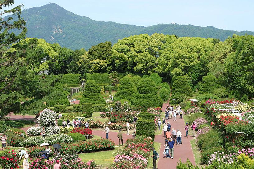 京都府立植物園｜そうだ 京都、行こう。