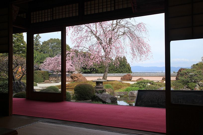 正法寺 そうだ 京都 行こう