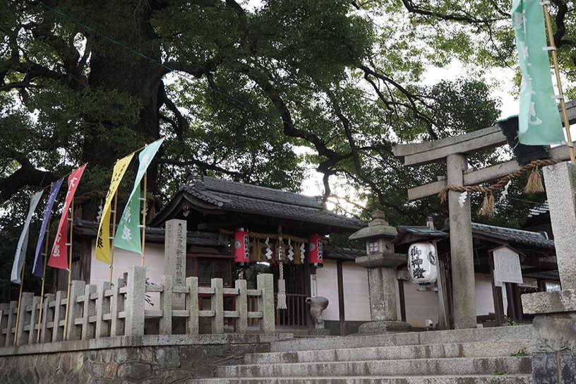 新熊野神社