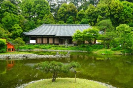 浄瑠璃寺｜そうだ 京都、行こう。
