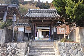 京都・京北の桜の新名所！宝泉寺「桜の公園」 - KYOTO SIDE