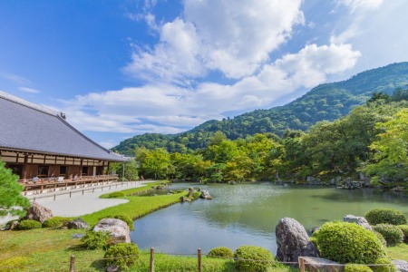 京都ならではの“借景”を楽しむ
