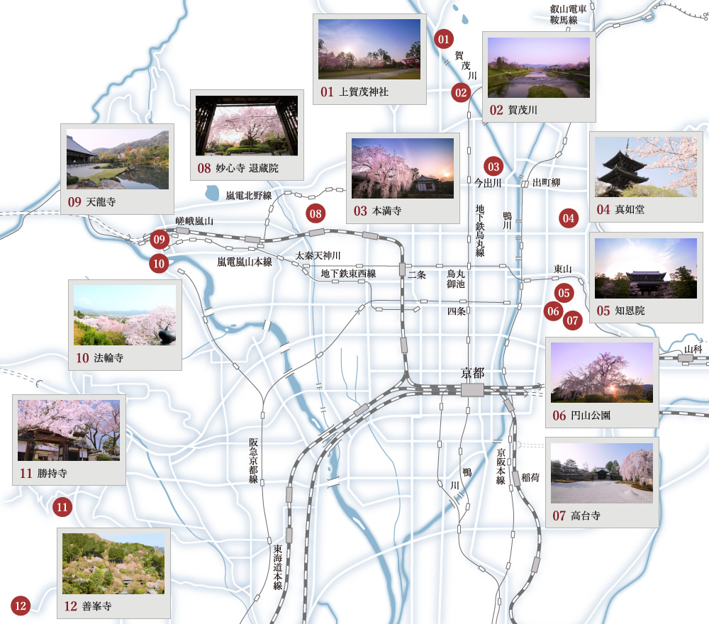 朝桜 MAP