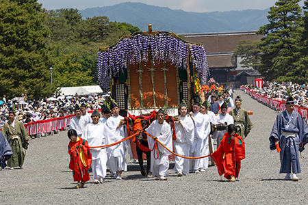 aoi_matsuri