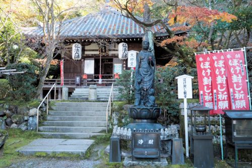 歴史感じる社寺にお参り