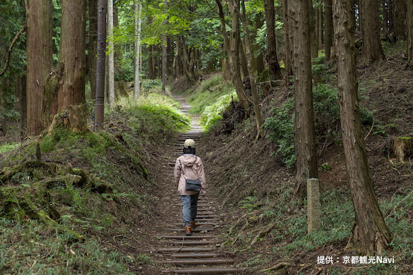 北山東部コース