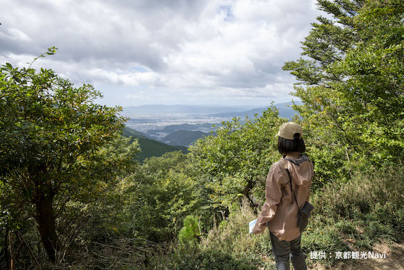 北山東部コース