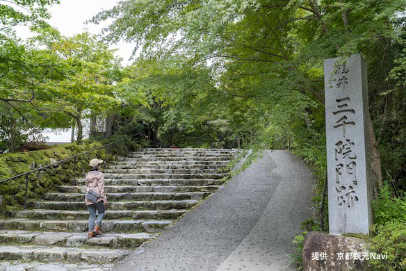 北山東部コース