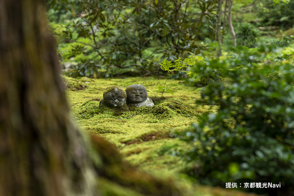 北山東部コース