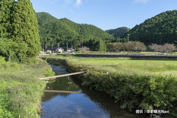 北山東部コース