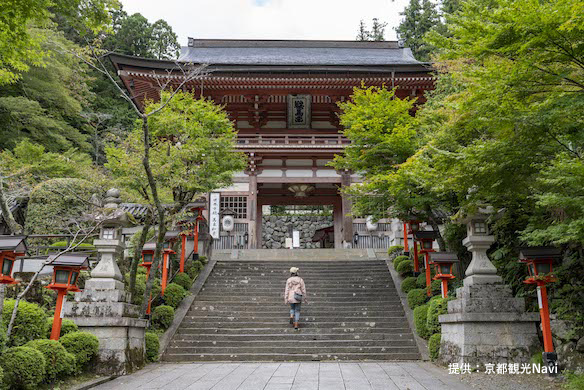 北山東部コース
