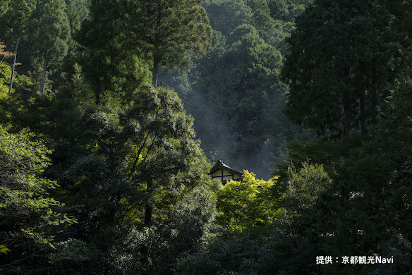 北山西部コース