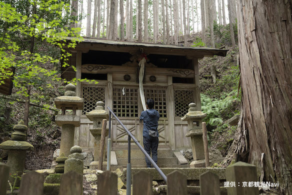 北山西部コース