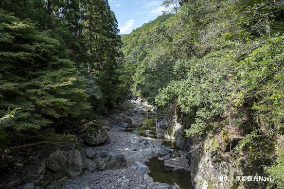 北山西部コース