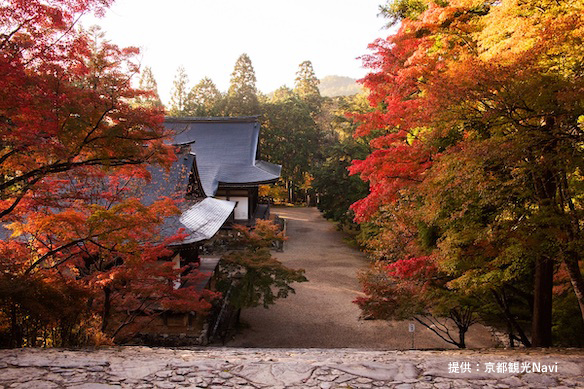 北山西部コース