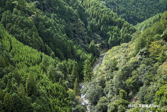 北山西部コース