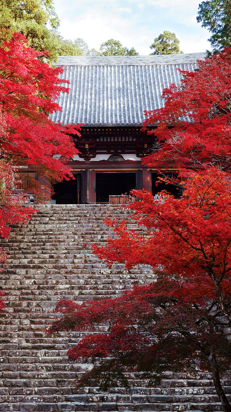 今年の秋は 待ち望んだ京都へ そうだ 京都 行こう